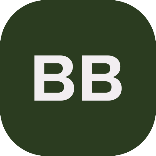 Bristol Bubbles logo